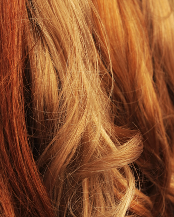 Colored Hair Colored Hair